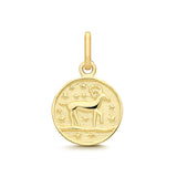 9CT GOLD TINY ZODIAC COIN PENDANT CHARM