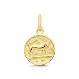 9CT GOLD SMALL ZODIAC COIN PENDANT