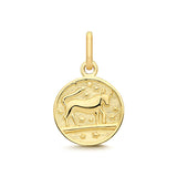 9CT GOLD TINY ZODIAC COIN PENDANT CHARM